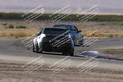 media/Oct-04-2025-OnGrid (Sat) [[44bd565ffa]]/Purple Group/Grapevine/